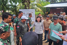 300 Hektar Sawah di Seluma Terancam Gagal Panen