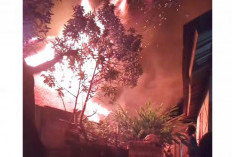 BREAKING NEWS: Ditinggal Pergi, Rumah Warga Padang Niur Bengkulu Selatan Terbakar 