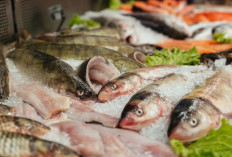 Daftar Ikan Kaya Gizi dan Ramah di Kantong, Cocok untuk Menu Harian