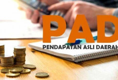 Ditarget Rp 2,1 Miliar, PBB Sudah Sumbang PAD Seluma Rp 1 Miliar Lebih