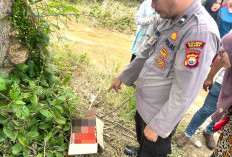 Dibuang di Dalam Kardus, Bayi Laki-laki Ditemukan Tergeletak Dekat TPU di Seluma