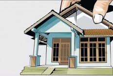 4.626 unit Rumah Di Kabupaten Kaur Dinyatakan Tak Layak Huni