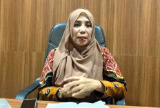 Tercatat Ada 32 Kasus Konflik Perkebunan Di Bengkulu