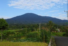 Keindahan Gunung Gadang, Permata Alam di Rejang Lebong, Bengkulu Yang Mempesona