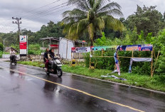 APK Paslon Yang Dipasalitasi KPU Dirusak OTD, Fotonya Tak Bisa Dikenali Lagi