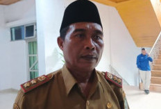 Jumlah Perusahaan Belum Mampu Kurangi Pengangguran