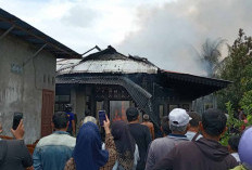 Rumah Tukang Bangunan di Bengkulu Selatan Hangus Dilalap Api