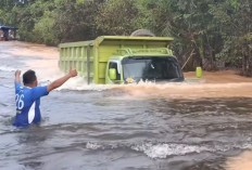 Genangan Air di Jalan Jangan Anggap Sepele, Ada Bahaya Mengintai, Begini Cara Aman Mobil Melintasi Banjir