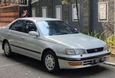 5 Rekomendasi Mobil Sedan Bekas Untuk Kawula Muda! Desain Mewah Harga Cuma Rp 45 Juta
