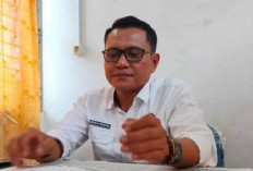 Bahas Pelaksanaan Cetak Sawah, Kadistan dan Bupati ke Kementan