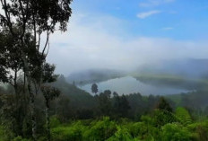 15 Spot menarik Di Puncak Dieng Terbaru, Ada Telaga Warna Hingga Bukit Sikunir