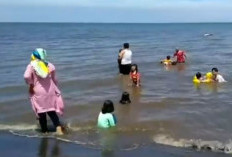 Pesona dan Keindahan Pantai Duta Probolinggo, Hamparan Pasir Putih Yang Dibingkai Hutan Mangrove