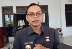Terbukti Terlibat Politik Praktis, 2 PNS Seluma Terancam Dipecat
