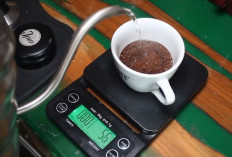 Kenikmatan Kopi Bukan Hanya Pada Biji, Kualitas Air Ternyata Jadi Faktor Penting! 