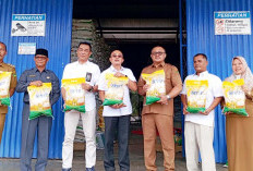 DKP Bengkulu Selatan Salurkan 159 Ton Beras Ketahanan Pangan 