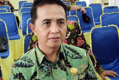 Server Rusak, Pembayaran PBB-P2 di Bengkulu Selatan Terganggu