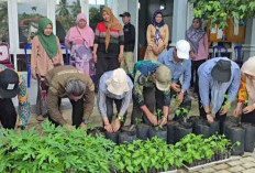 Gertam Tanam Cabe, Pemda Bengkulu Selatan Harapkan Dapat Penuhi Kebutuhan dan Tekan Inflasi