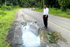4 Titik Jalan Nasional di Bengkulu Selatan Dilakukan Perbaikan