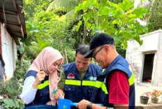Waspada DBD, Petugas Lakukan Penyelidikan Epidemiologi, Investigasi Kasus dan Pelacakan Kontak Penyakit