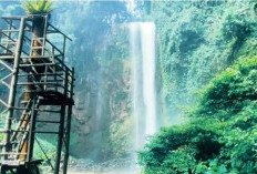 Fakta Unik Air Terjun Semantung di Lampung, Cipratan Embun Abadi dan Keindahan Hutan Belantara
