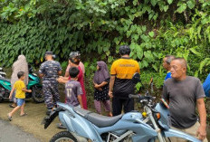Misteri Janin Manusia di Pantai Pasar Bawah
