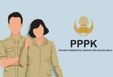 Gaji Perdana PPPK Tahap 1 di Seluma Mulai Disalurkan, Gaji November Masih Diproses