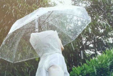 Waspada Potensi Hujan Tiga Hari Kedepan