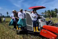 Maksimalkan Hasil Pertanian Dengan Panen Tiga Kali Setahun