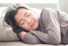 Tidur Siang, Rahasia Sederhana untuk Tubuh dan Pikiran yang Lebih Sehat