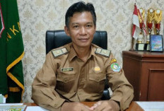 Program Swasembada Pangan di Kabupaten Kaur Mulai Berjalan