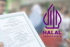 Sudah Ada 878 UMKM di Kaur Kantongi Sertifikat Halal