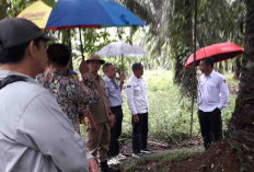 Program Sekolah Rakyat, Bappeda Bengkulu Selatan Susun Peta Perencanaan Komposisi Jaringan