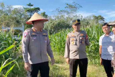 Kapolres Kaur Pastikan Program Ketahanan Pangan Berjalan Lancar