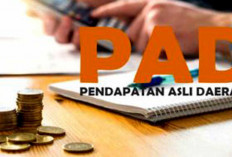 Target Capaian PAD Seluma Tahun 2025 Rp 19.3 Miliar