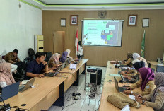 Program 100 Hari Kerja, Aplikasi Romantik untuk Satu Data Indonesia