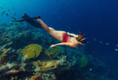 Menjelajahi Keindahan Taman Laut Olele, Surga Bawah Laut di Gorontalo Yang Memukau