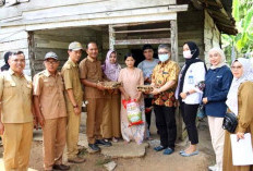 Audit Kasus Stunting TPPS Terjun Ke Lapangan 