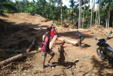 Satgas TMMD Ke-124 Kodim 0408 Bengkulu Selatan Menambah Material Kayu Untuk Bangun Jembatan