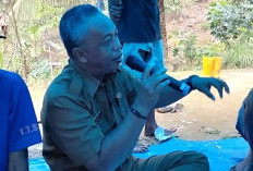 Warga Dilarang Tebang Pohon dan Tanam Sawit Di Tahura