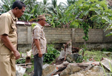 Pagar Ambruk 50 Meter, Keamanan SMPN 5 Bengkulu Selatan Terancam