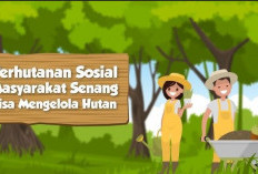 147 Kelompok Perhutanan Sosial Sudah Ditetapkan di Provinsi Bengkulu