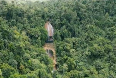 Air Terjun Tumburano, Destinasi Wisata Memukau di Pulau Wawonii, Indah dan Mempesona