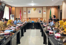 Pemprov Bengkulu Dorong Percepatan Pengembangan Kawasan Industri Pulau Baai