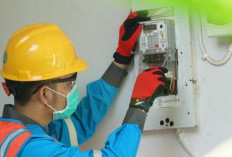 PLN Gencar Patroli Jaringan Listrik Ilegal di Kabupaten Kaur