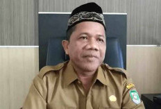 Auditor Telaah Hasil Pemeriksaan Lapangan DD Ujung Padang