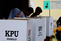 Rapat Pleno PPK Tuntas, Gusnan-Ii Sumirat Unggul di 6 Kecamatan