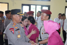 Produktivitas Padi Capai 7 Ton per Hektare: Dandim 0425 Seluma Tinjau Panen Padi di Sari Mulyo