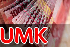 Dinas Nakertrans Targetkan Launching UMK Pada Perayaan HUT Seluma
