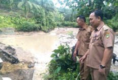 Bendungan Trans Puding Jebol,  200 Hektar Sawah di 3 Desa Ini Terancam
