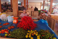 Jelang Ramadan, Harga Kebutuhan Pokok di Kaur Merangkak Naik
